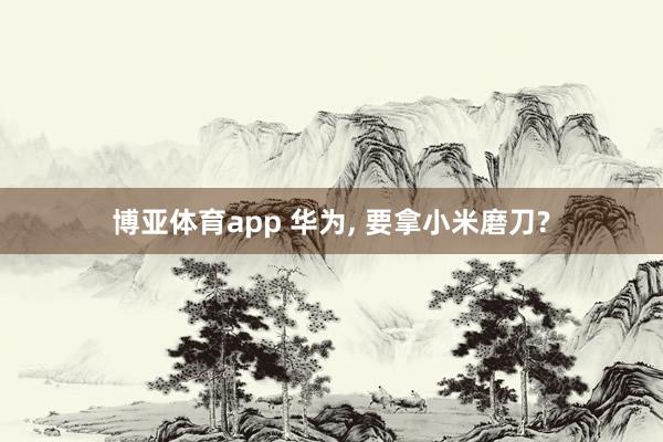 博亚体育app 华为， 要拿小米磨刀?