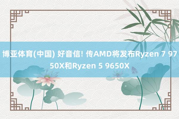博亚体育(中国) 好音信! 传AMD将发布Ryzen 7 9750X和Ryzen 5 9650X