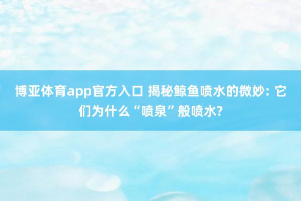 博亚体育app官方入口 揭秘鲸鱼喷水的微妙: 它们为什么“喷泉”般喷水?