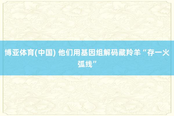 博亚体育(中国) 他们用基因组解码藏羚羊“存一火弧线”