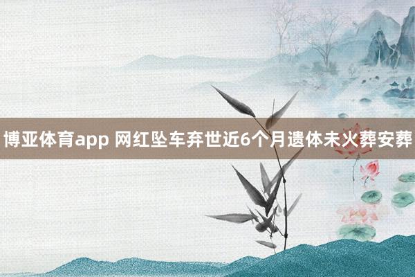 博亚体育app 网红坠车弃世近6个月遗体未火葬安葬