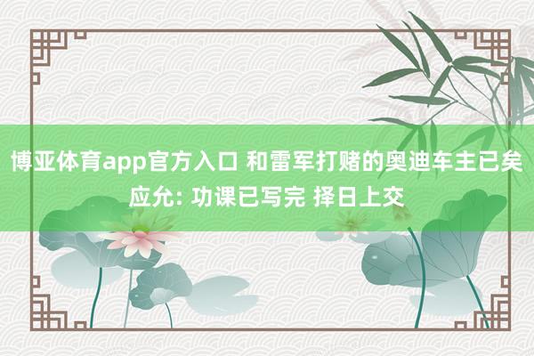 博亚体育app官方入口 和雷军打赌的奥迪车主已矣应允: 功课已写完 择日上交