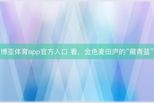 博亚体育app官方入口 看，金色麦田庐的“藏青蓝”