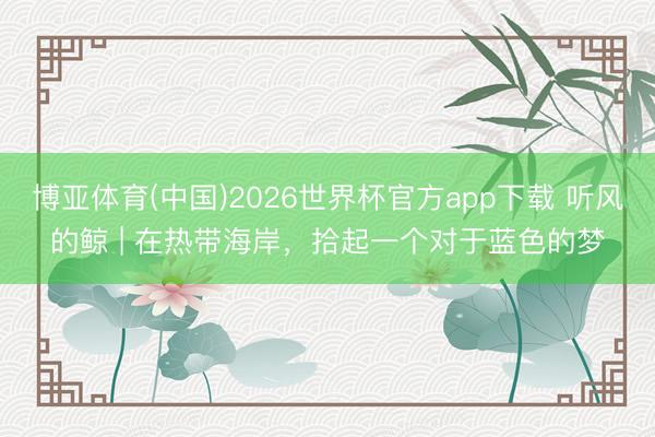 博亚体育(中国)2026世界杯官方app下载 听风的鲸 | 在热带海岸，拾起一个对于蓝色的梦