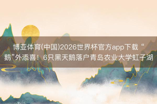 博亚体育(中国)2026世界杯官方app下载 “鹅”外添喜！6只黑天鹅落户青岛农业大学虹子湖