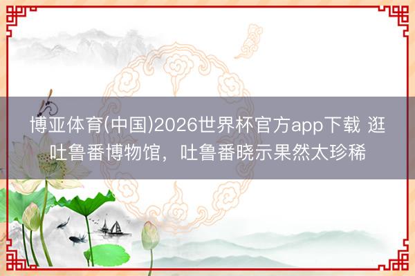 博亚体育(中国)2026世界杯官方app下载 逛吐鲁番博物馆，吐鲁番晓示果然太珍稀