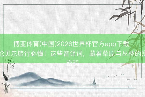 博亚体育(中国)2026世界杯官方app下载 呼伦贝尔旅行必懂！这些音译词，藏着草原与丛林的密码
