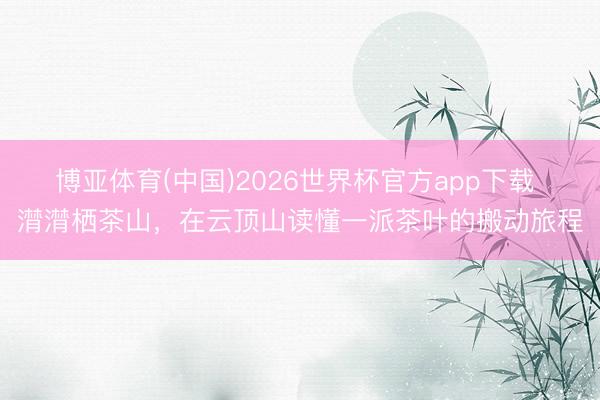 博亚体育(中国)2026世界杯官方app下载 潸潸栖茶山，在云顶山读懂一派茶叶的搬动旅程