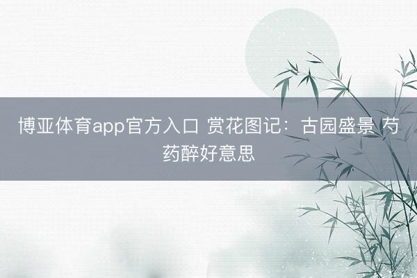 博亚体育app官方入口 赏花图记：古园盛景 芍药醉好意思