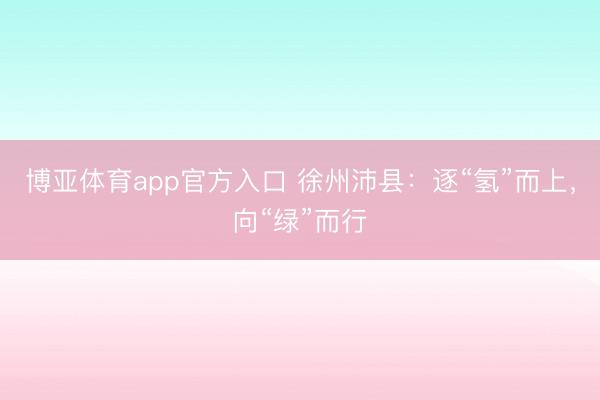 博亚体育app官方入口 徐州沛县：逐“氢”而上，向“绿”而行