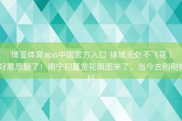 博亚体育app中国官方入口 绿城无处不飞花 | 好意思翻了！南宁初夏赏花舆图来了，当今去刚刚好