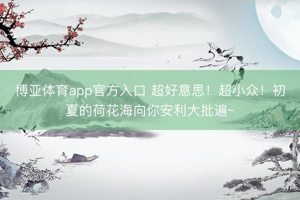 博亚体育app官方入口 超好意思！超小众！初夏的荷花海向你安利大批遍~