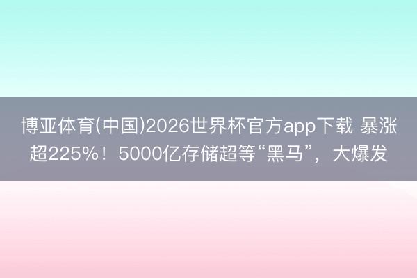 博亚体育(中国)2026世界杯官方app下载 暴涨超225%！5000亿存储超等“黑马”，大爆发