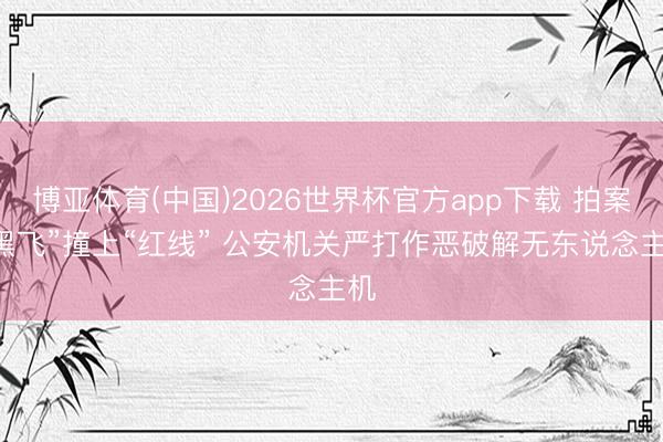 博亚体育(中国)2026世界杯官方app下载 拍案|“黑飞”撞上“红线” 公安机关严打作恶破解无东说念主机