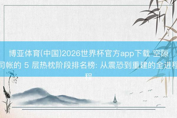 博亚体育(中国)2026世界杯官方app下载 空隙司帐的 5 层热枕阶段排名榜: 从震恐到重建的全进程
