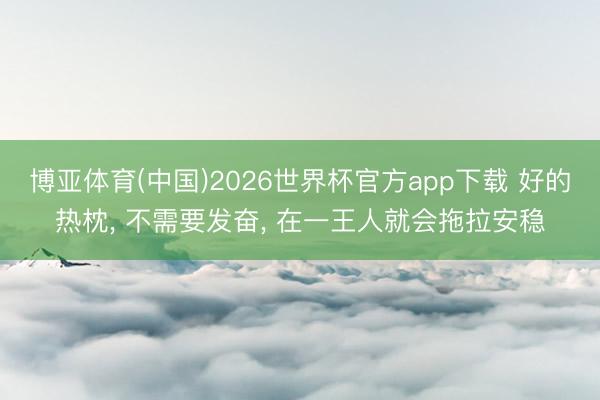 博亚体育(中国)2026世界杯官方app下载 好的热枕， 不需要发奋， 在一王人就会拖拉安稳