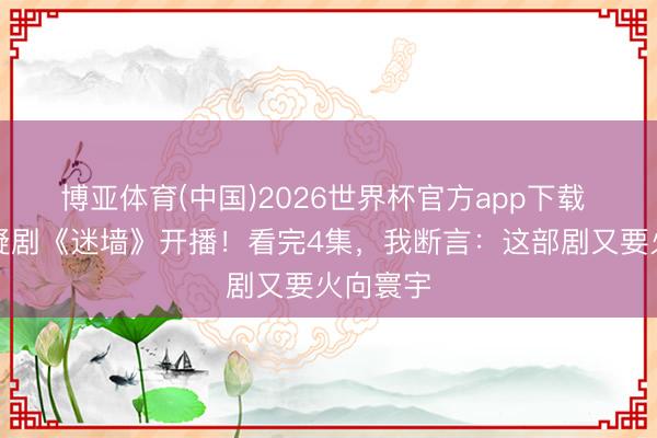 博亚体育(中国)2026世界杯官方app下载 央视悬疑剧《迷墙》开播！看完4集，我断言：这部剧又要火向寰宇