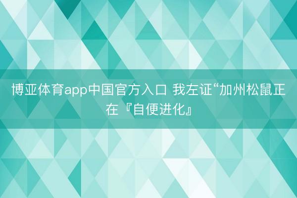 博亚体育app中国官方入口 我左证“加州松鼠正在『自便进化』